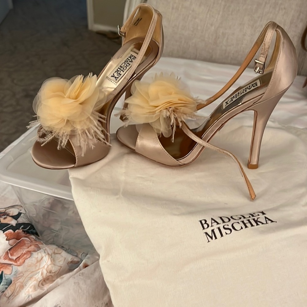 Badgley mischka pump